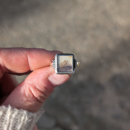 Anillo de plata con agata dendritica