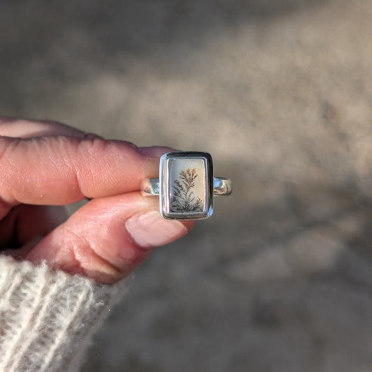 Anillo de plata con agata dendritica