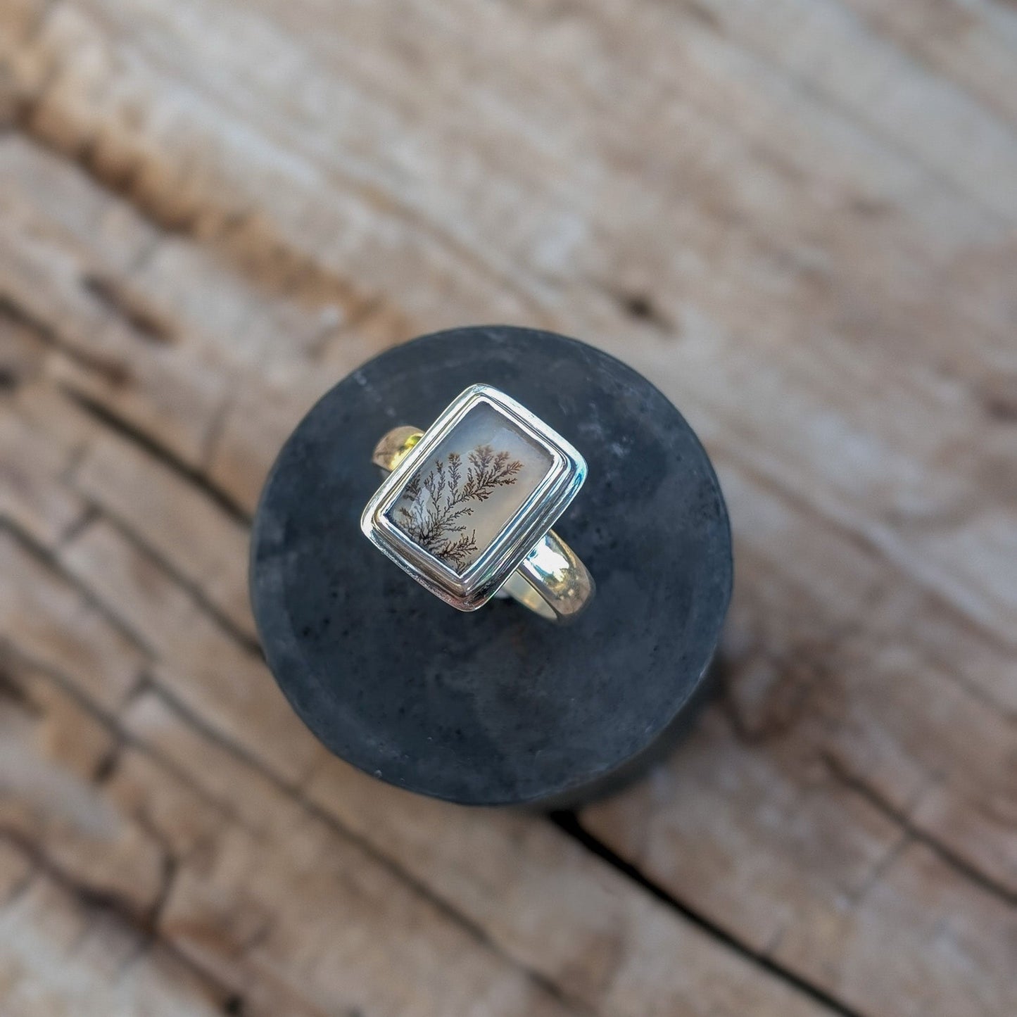 Anillo de plata con agata dendritica