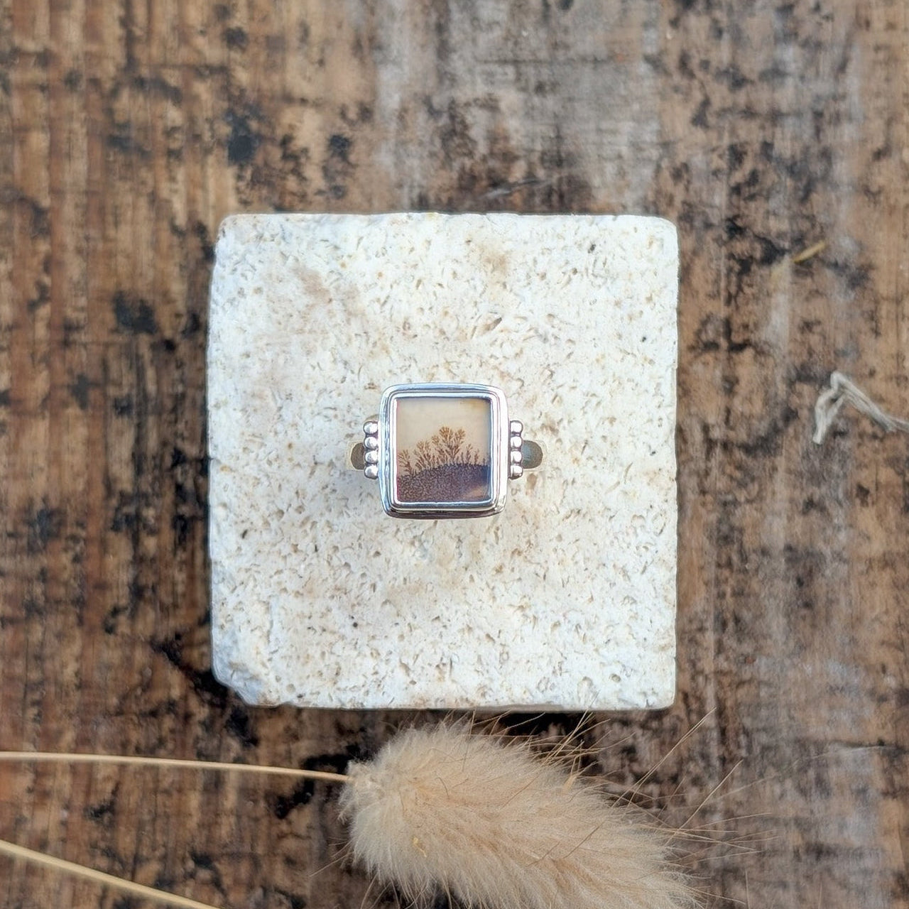 Anillo de plata con ágata dendrítica